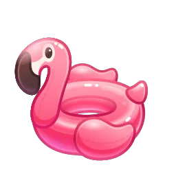 Pool Float